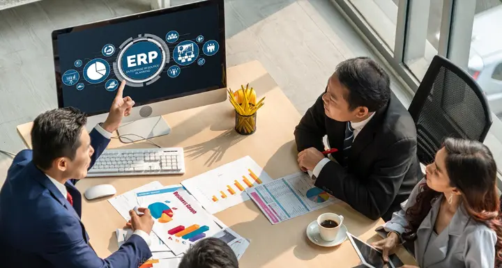 ERP Strategy & Process Assessment